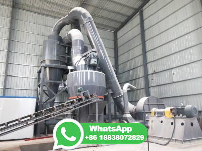Factory Offered /H Rice Husk Pellet Machine With CE